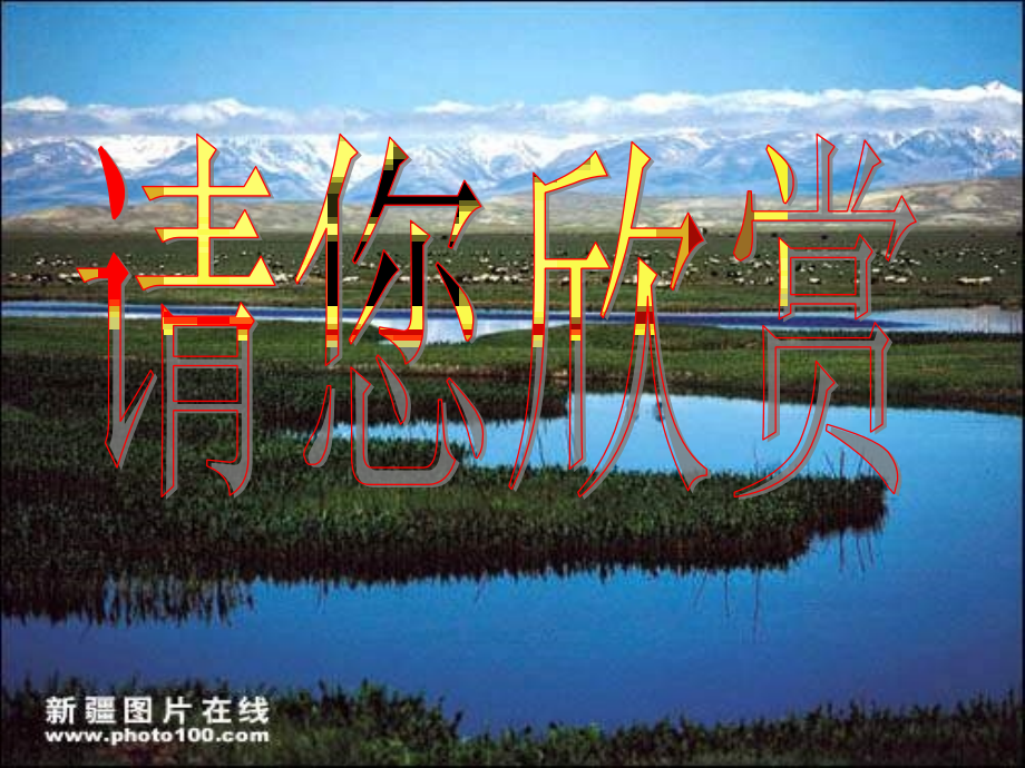 第四节_鸟的生殖与发育.ppt_第1页