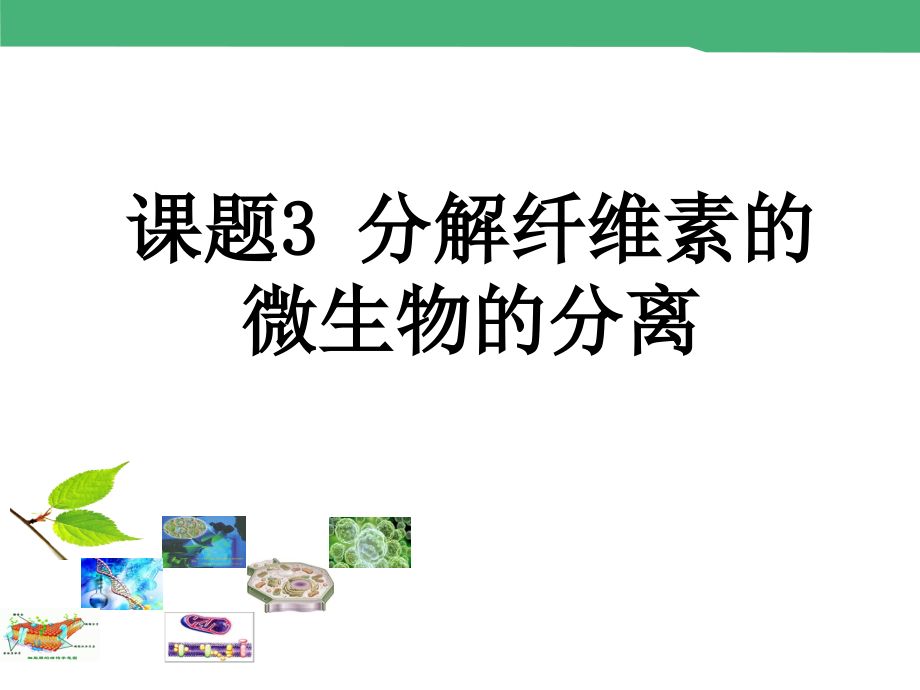 课题3-分解纤维素的微生物的分离.ppt_第1页