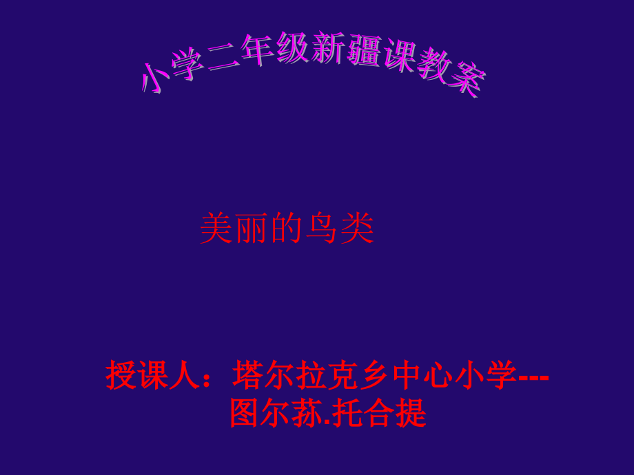 小学二年级新疆“美丽的鸟类”课件.ppt_第1页