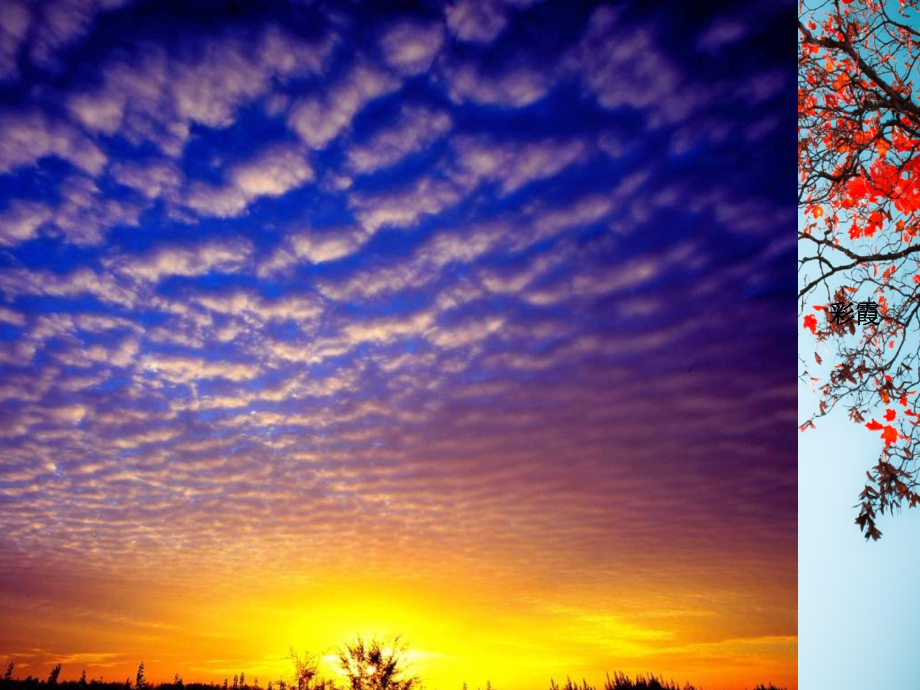 教科版八上《光源 光的传播》课件.ppt_第2页