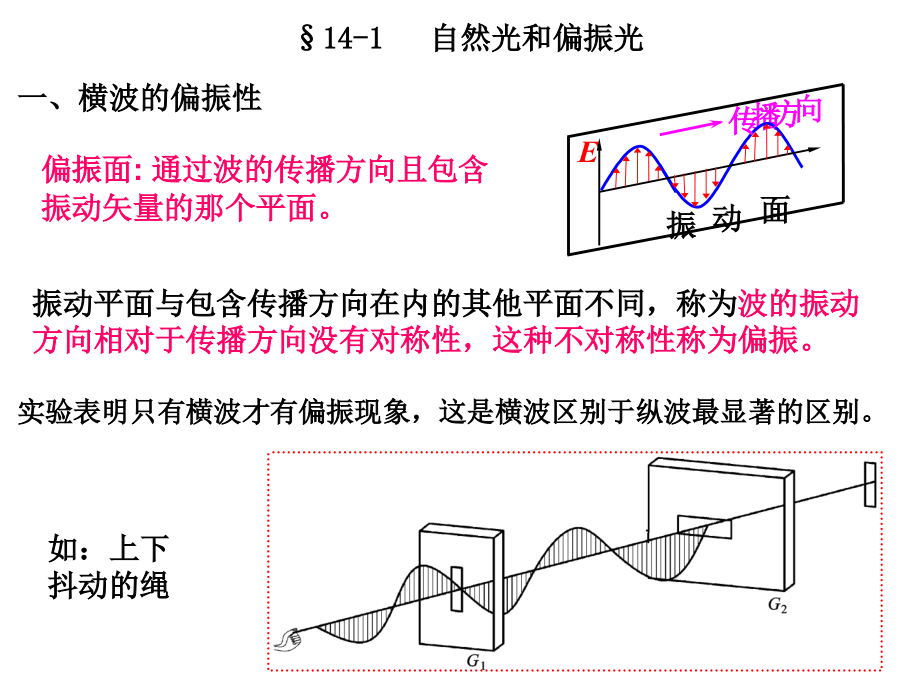 第14章 光的偏振.ppt_第2页