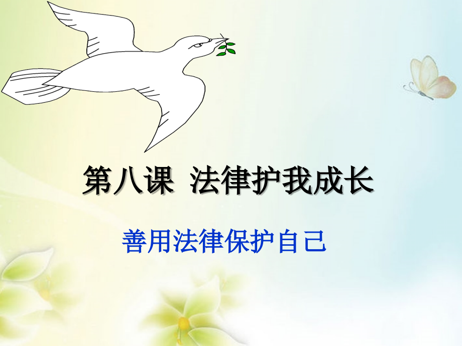 陕西省西安市庆安中学七年级政治下册《8.2-善用法律保护自己》课件-新人教版.ppt_第1页