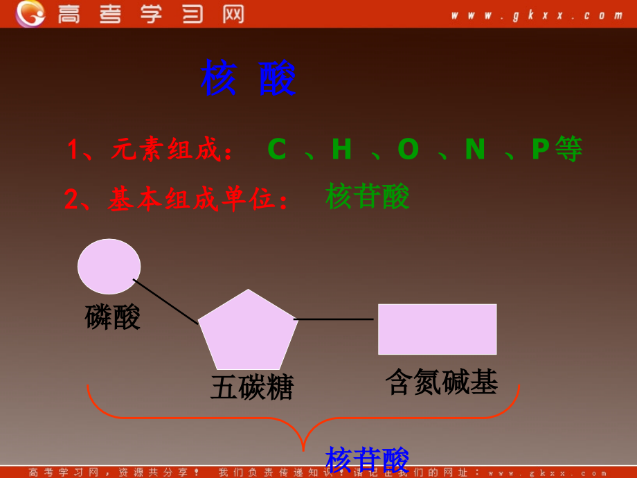 高中生物《有机化合物与生物大分子》课件3-浙科版必修1.ppt_第2页