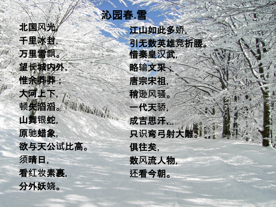 江南的冬景公开课课件.ppt_第1页