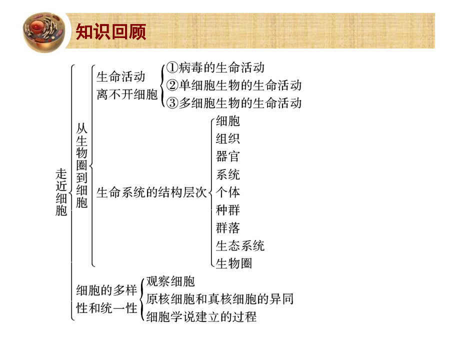 科学前沿组装细胞-(3).ppt_第2页