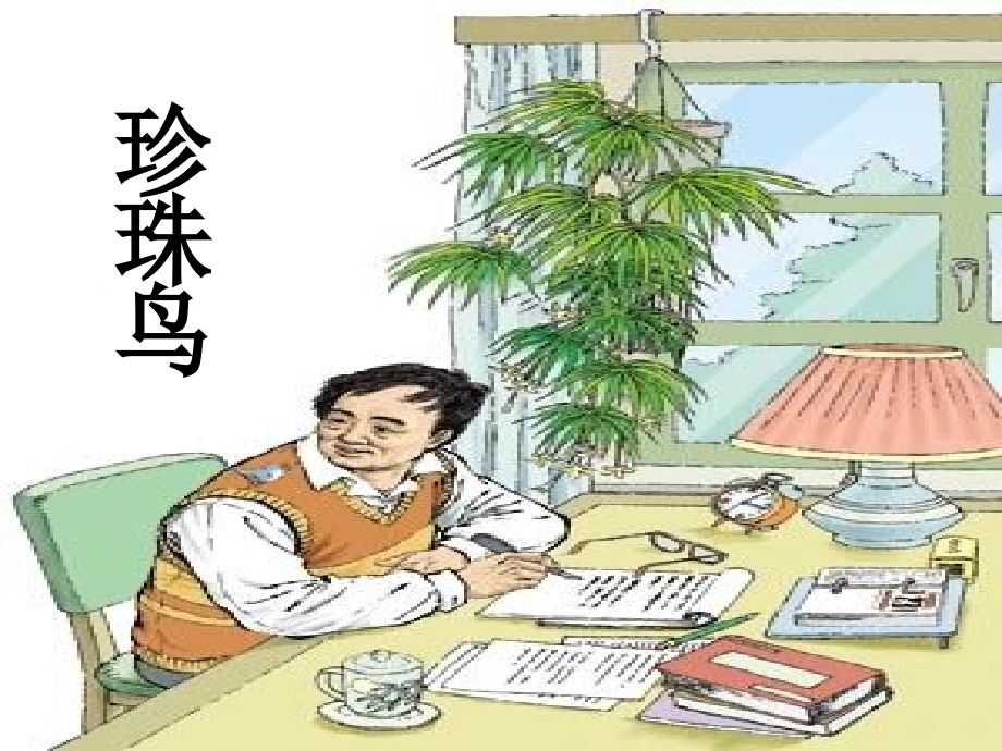 珍珠鸟02.ppt_第2页