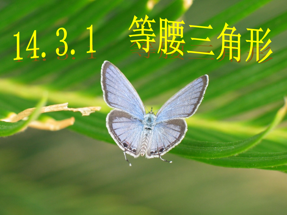 新人教八年级13.3.1等腰三角形课件.ppt_第1页
