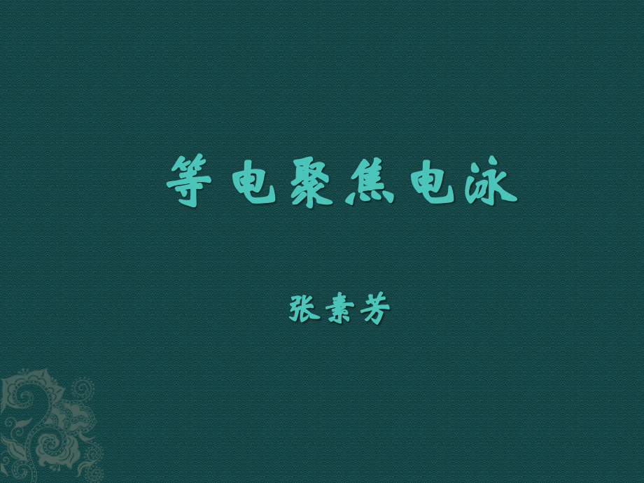 等电聚焦电泳.pptx_第1页