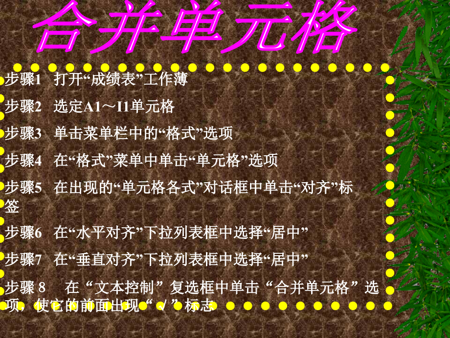 修饰单元格(吴羚瑗).ppt_第2页