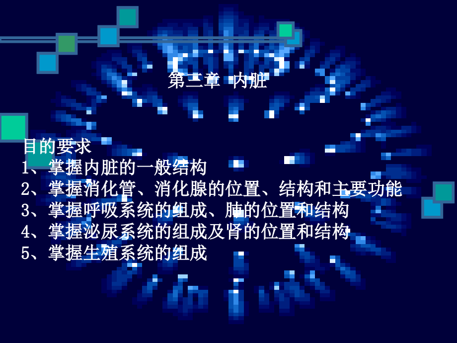 人体解剖学_03内脏.pptx_第1页