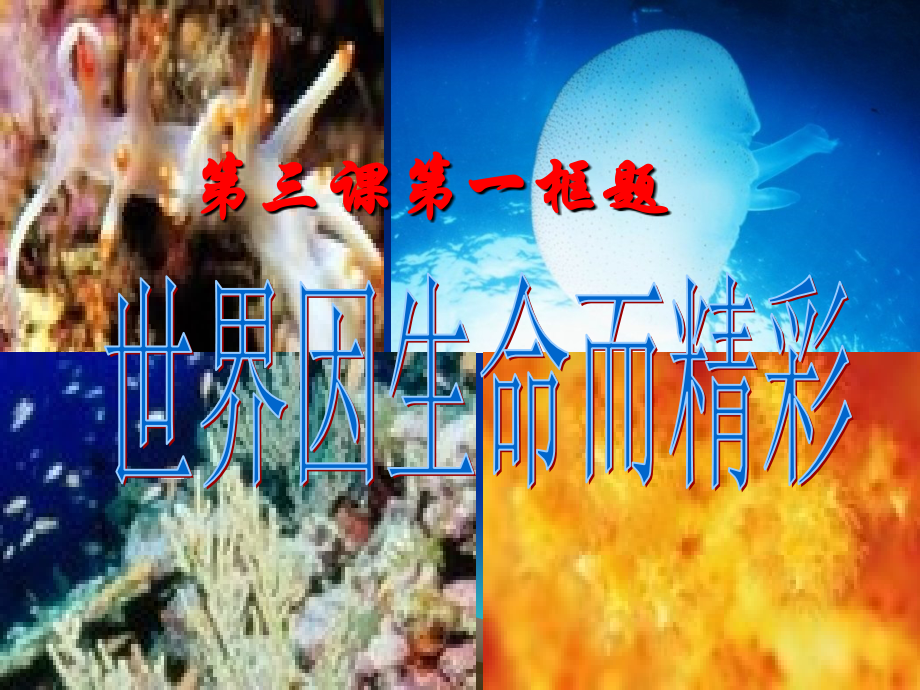 第三课第一框《世界因生命而精彩》..ppt_第1页