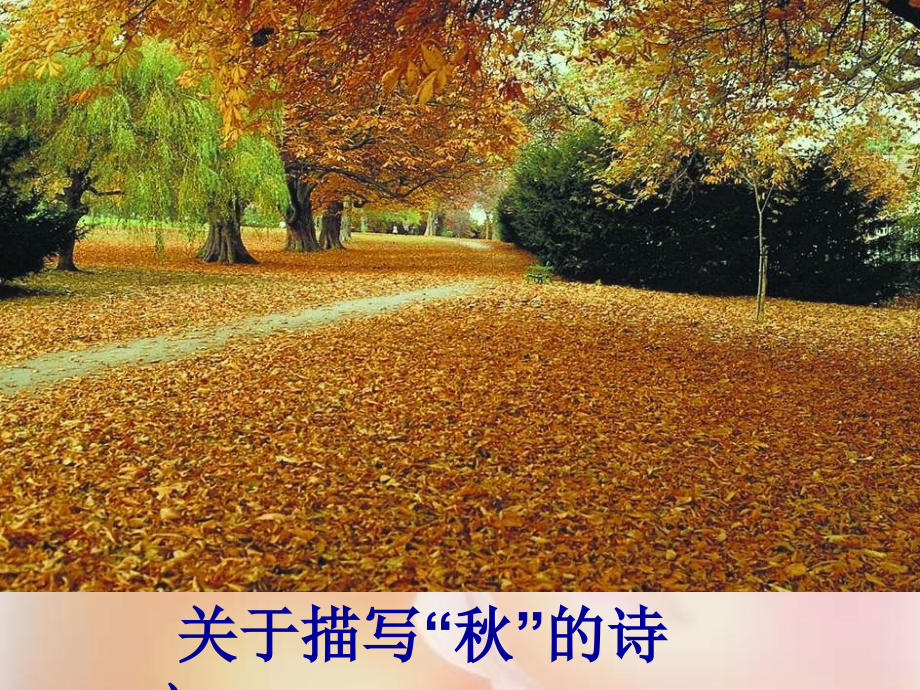 故都的秋ppt优秀课件.ppt_第1页