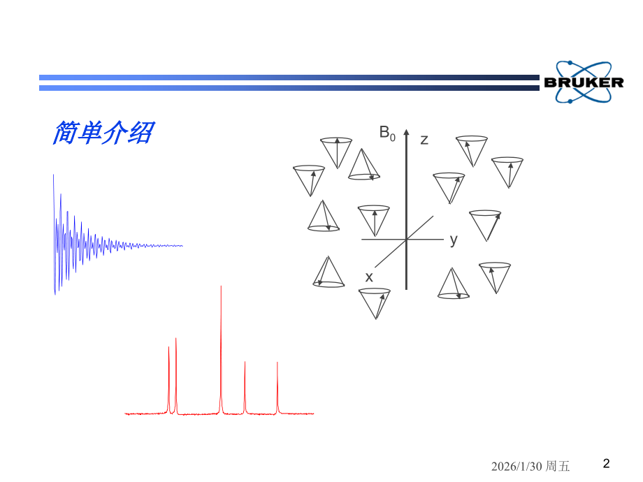 Bruker布鲁克核磁共振培训资料.ppt_第2页
