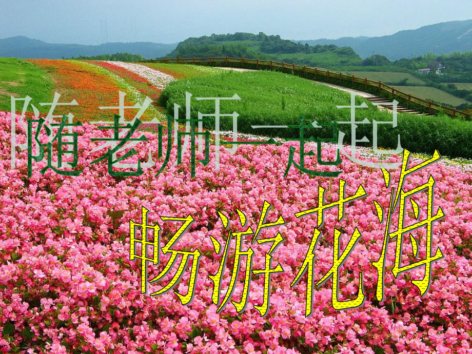 (语文A版)二年级语文上册课件巨人的花园1.ppt_第2页