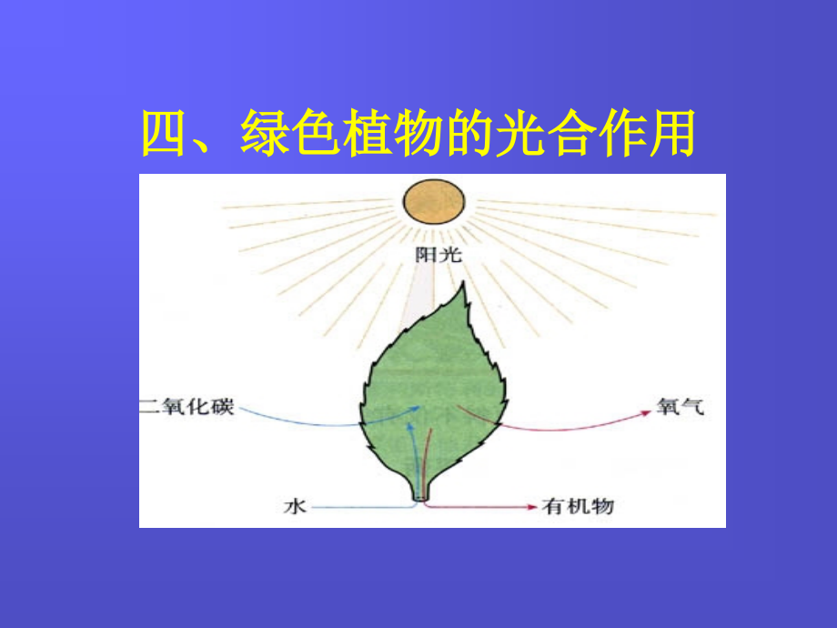 高中生物四-光合作用复习(PPT课件)苏教版必修1.ppt_第1页