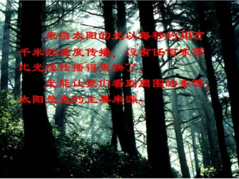 (教科版)五年级科学上册课件 阳光下的影子.ppt_第2页