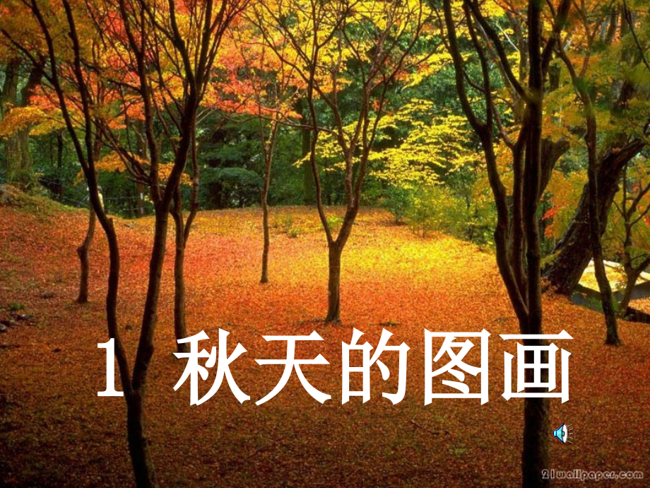 二年级语文上册第一组1.秋天的图画课件.ppt_第1页