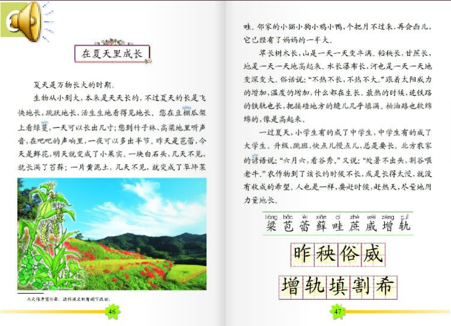 在夏天里成长第一课时.ppt_第2页