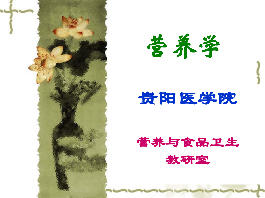 博易考提供公共营养学基础维生素.ppt_第1页