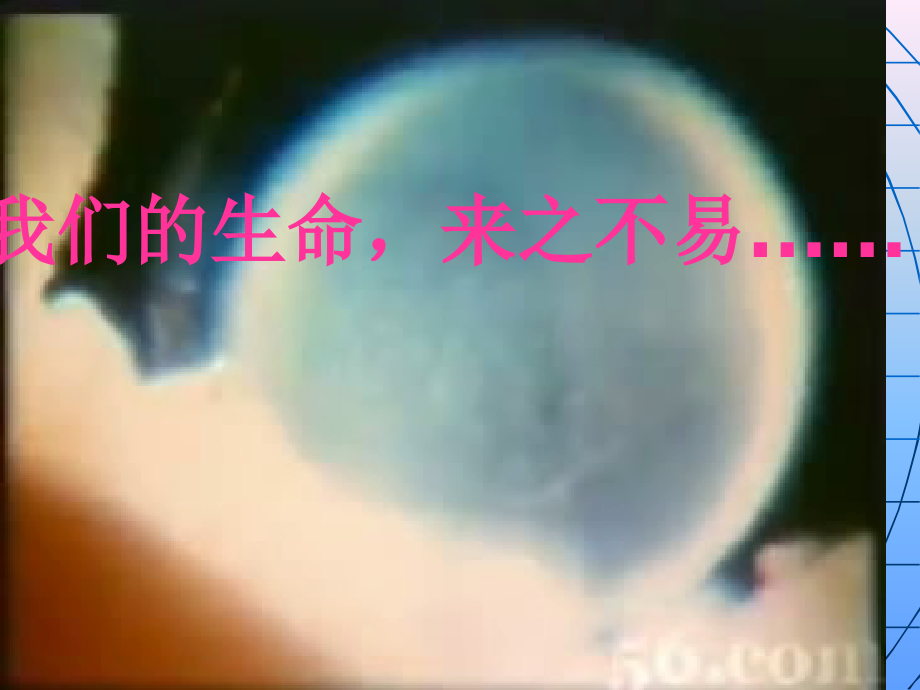 珍爱生命注意安全.ppt_第2页