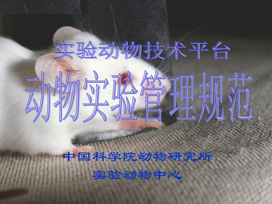 动物实验管理规范培训.ppt_第1页