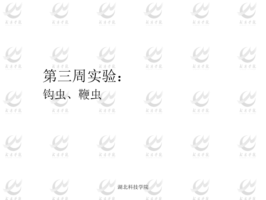 寄生虫标本片(全)1.ppt_第1页