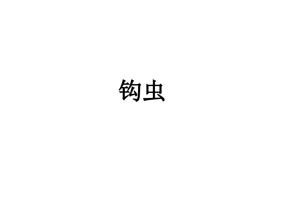 寄生虫标本片(全)1.ppt_第2页