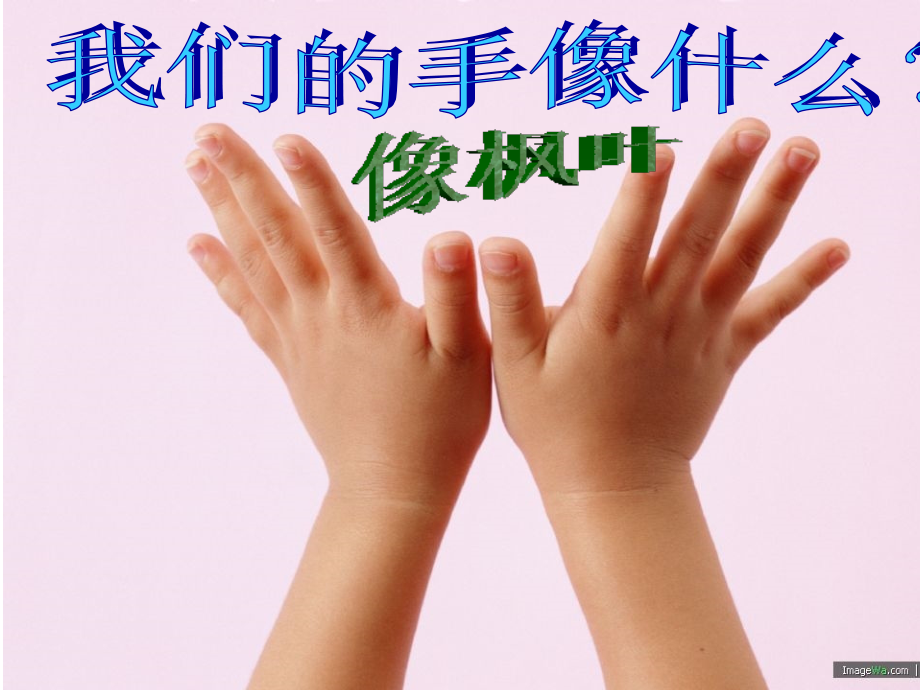 王润玲我们的手(课件).ppt_第2页