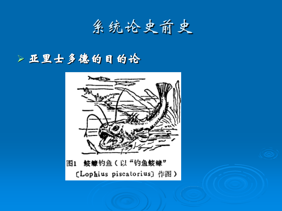 自然辩证法 第二讲：系统论的自然观.ppt_第2页