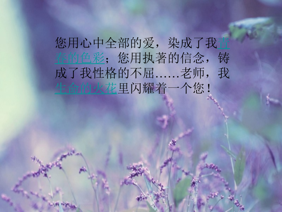 感谢老师的话.ppt_第2页