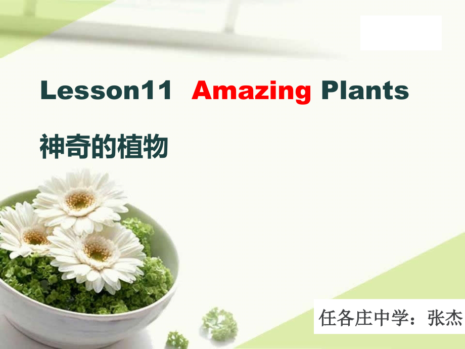 Lesson11AmazingPlants.ppt_第1页