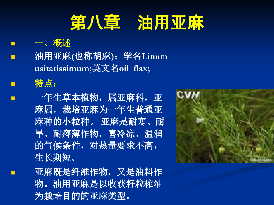 第八章++油用亚麻[1].ppt_第1页
