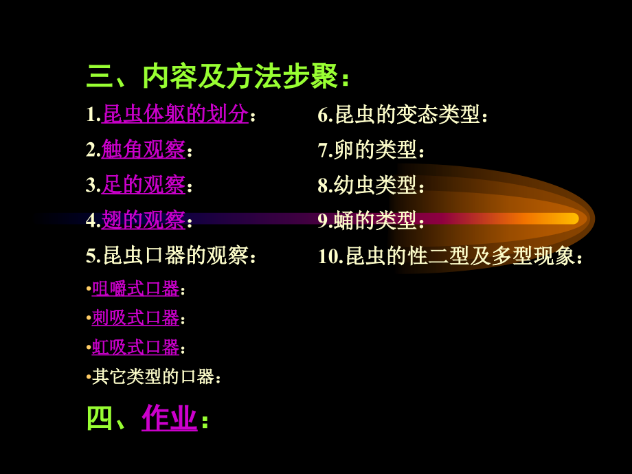 实验二昆虫形态及生物学.ppt_第2页