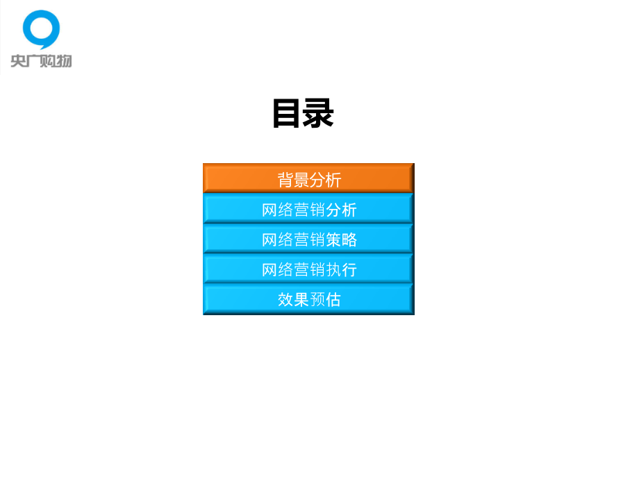 购物网站网络营销推广方案.pptx_第2页
