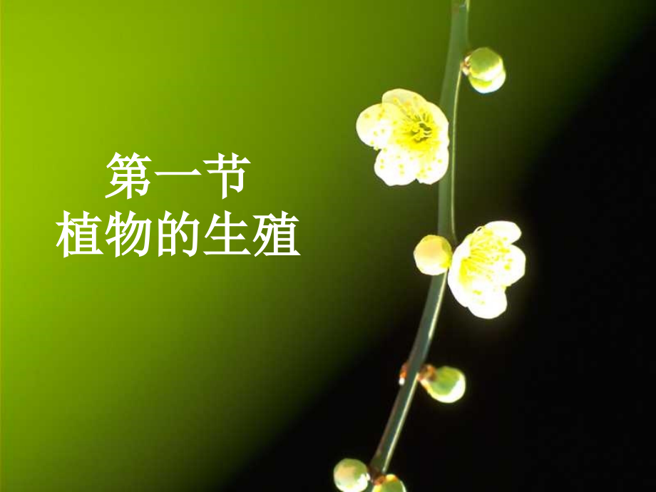 植物的生殖(课件).ppt_第1页