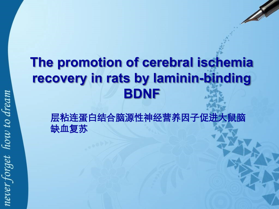 The promotion of cerebral ischemia recovery in rats by laminin.ppt_第1页