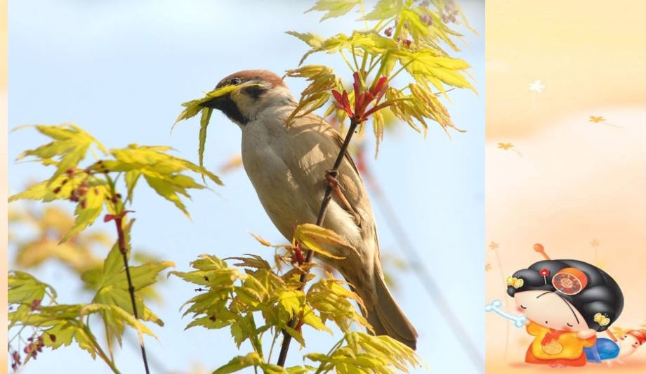 湘教六年级上册习作四.ppt_第1页