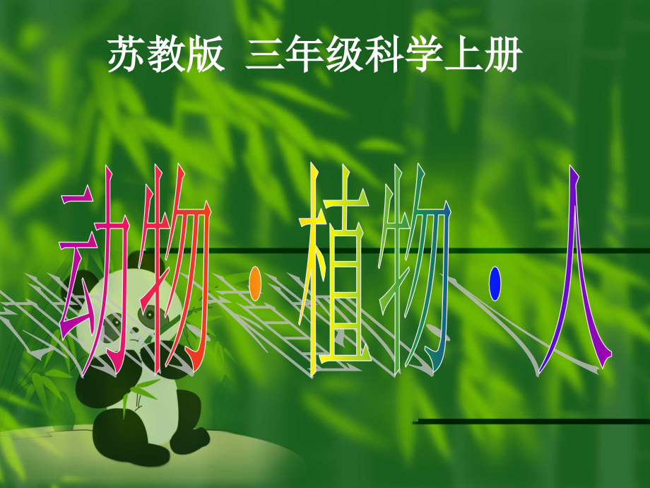 《动物植物人》PPT课件.ppt_第2页