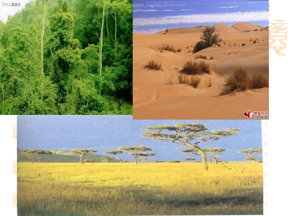 七年级地理降水和降水分布..ppt_第2页