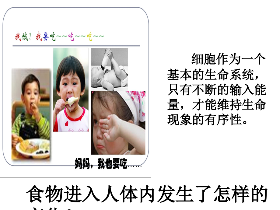 第5章 第1节 降低化学反应活化能的酶.ppt_第1页