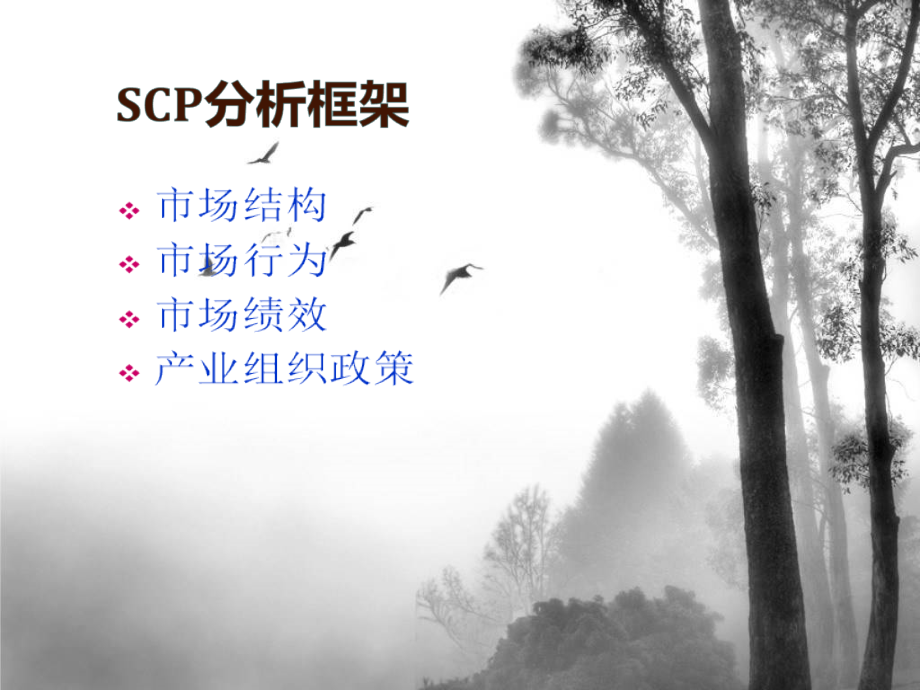 产业经济学SCP分析-.ppt_第2页