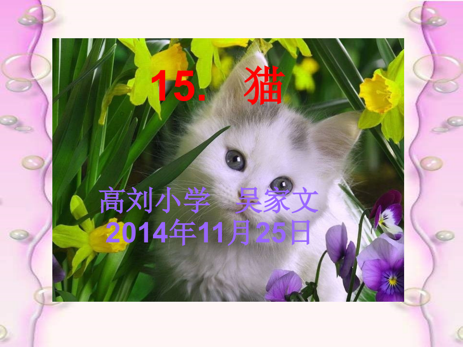 《猫》课件6.ppt_第1页