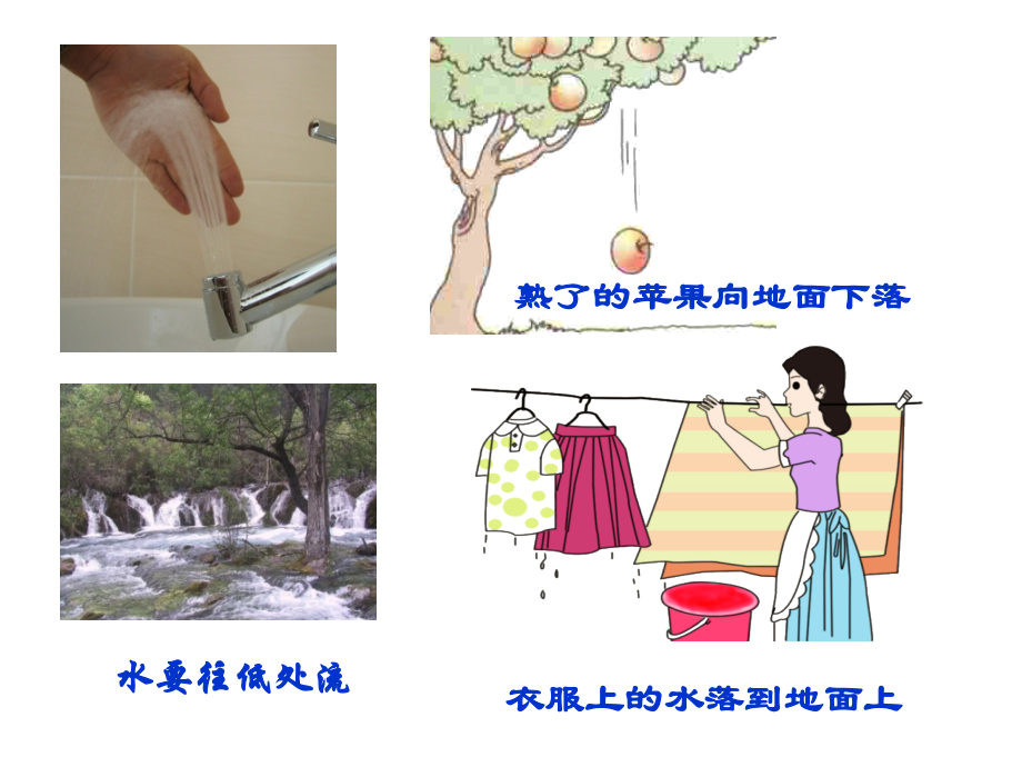 新教材七年级科学下册3.3重力.ppt_第1页