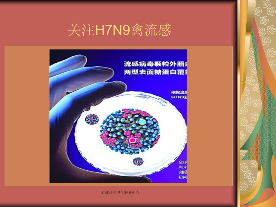 H7N9健康教育培训.ppt_第2页