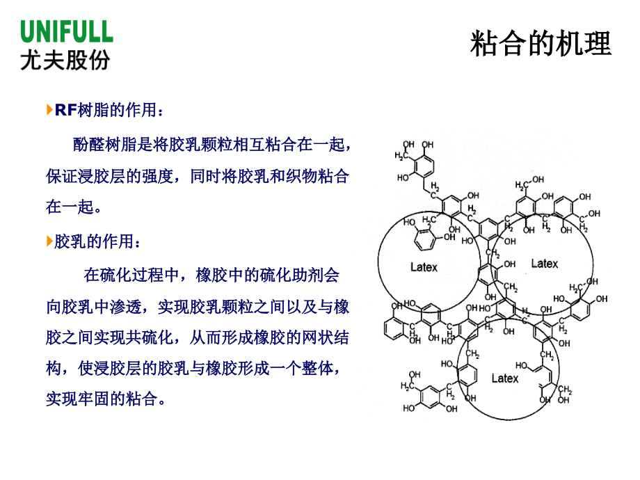 RP浸胶和RFL浸胶的差异.ppt_第2页