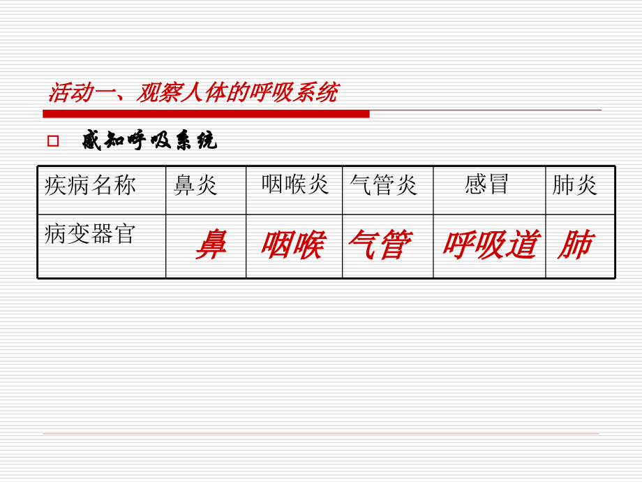 人体的呼吸运动12.13.ppt_第2页