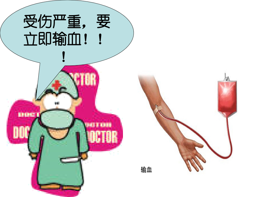七年级生物下课件《输血与血型》ppt.ppt_第2页