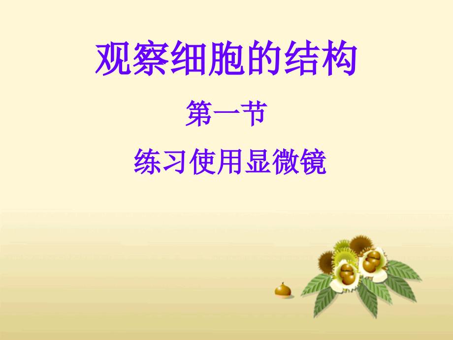 科学·技术·社会-人类探索微观世界不可缺少的工具——显微镜-(2).ppt_第1页