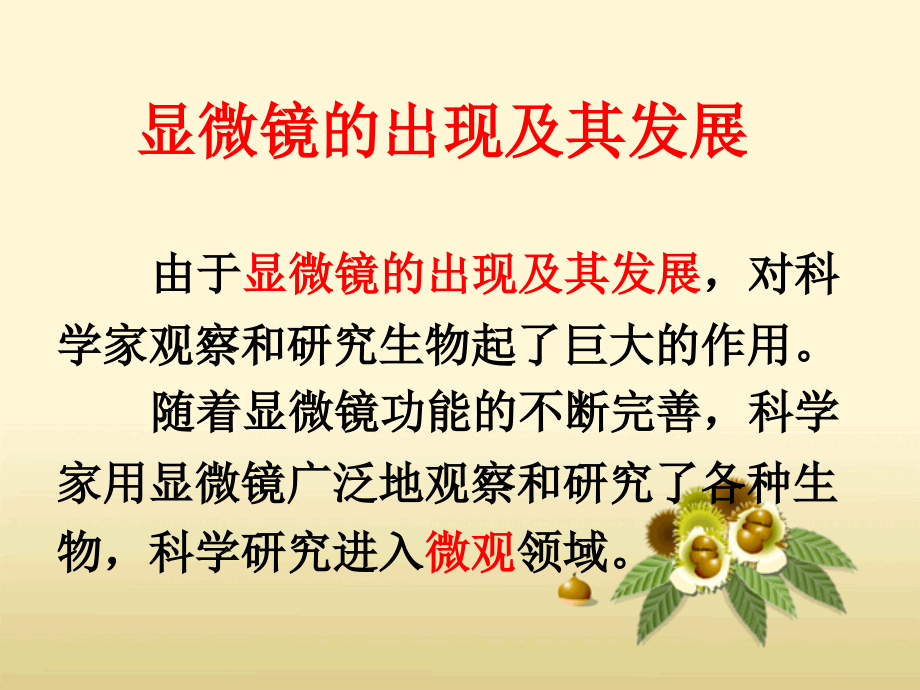 科学·技术·社会-人类探索微观世界不可缺少的工具——显微镜-(2).ppt_第2页