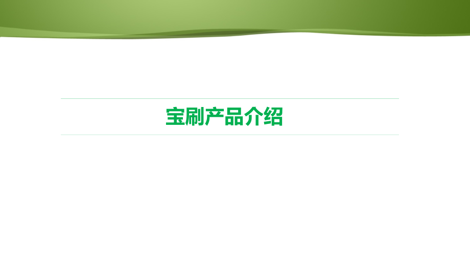 宝刷产品介绍.ppt_第1页